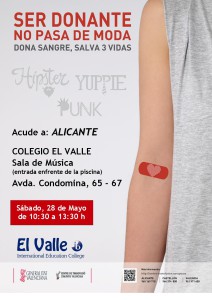 28 MAYO COLEGIO EL VALLE